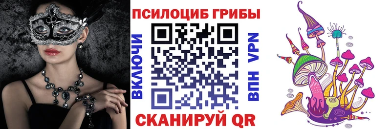 Псилоцибиновые грибы GOLDEN TEACHER Нерехта