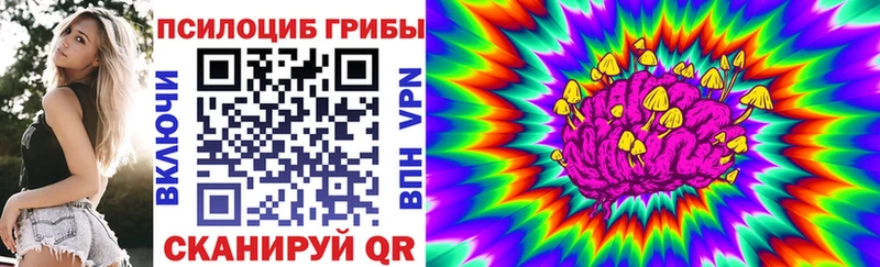 Псилоцибиновые грибы Magic Shrooms  Купить закладки  Нерехта 